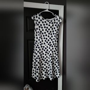 New York & Company Navy and White Midi Dress for Cocktail